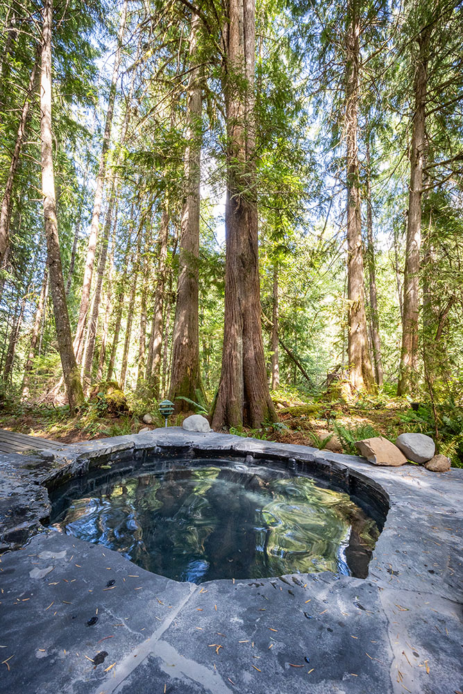Kitchen at Little Owl Cabin